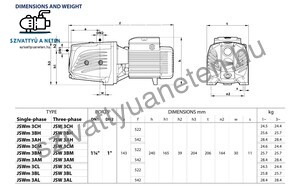 Pedrollo JSWm 3CL