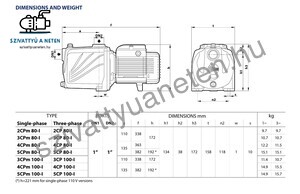 Pedrollo 5CPm 80I