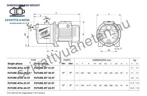 Pedrollo Future-Jetm 1C-ST