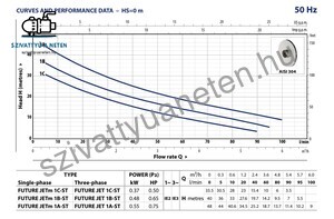 Pedrollo Future-Jetm 1B-ST