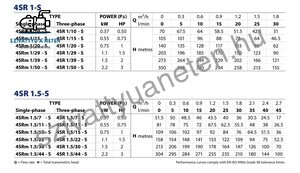 Pedrollo 4SRm 1/10 S-PD