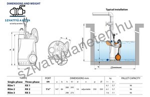 Pedrollo RXm 2 (10m)