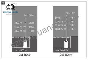 AL-KO Dive 6500/34