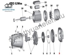 Leo XJWm 60/41 motor első dekni (9)