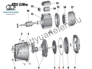 Leo XJWm 60/41 tengelytömítés (6)